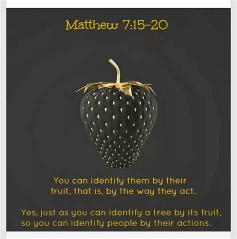 Matthew 7 15 20 False Prophets Bible Word Of God