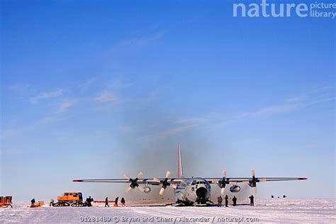 Stock photo of C130 equipped with skis filled with scientific equipment ...