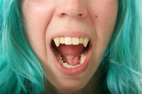 Sink Your Teeth Into These Facts About Fangs Tufts Now