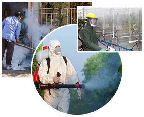 Best Pest Control In Abu Dhabi New Star Pest Control