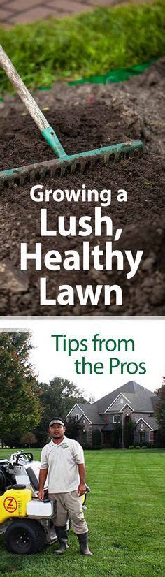 Professional Grass Advice For The Perfect Lawn Healthy Lawn Lawn