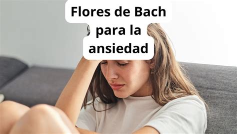 Flores De Bach Para La Ansiedad Calma Y Bienestar Emocional