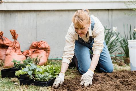 Dicas De Profissionais Para Um Iniciante Na Jardinagem