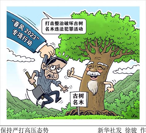 （图表·漫画）[法治]保持严打高压态势 新华社 活动 整治