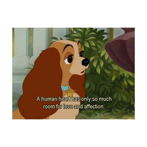 Lady And The Tramp Quotes | Famous Songs