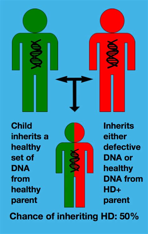 About Huntington Disease — Hereditary Neurological Disease Centre