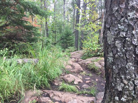 Eagle Mountain Trail in the BWCA