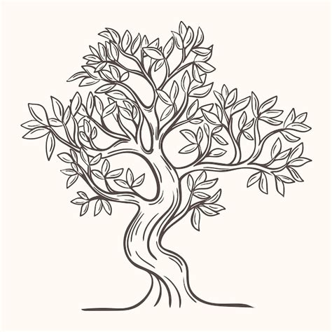 Árbol de hoja caduca dibujado a mano ilustración vectorial aislada