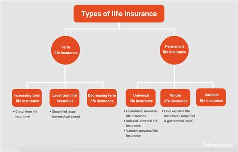 Types Of Term Life Insurance Policies Everything You Need To Know