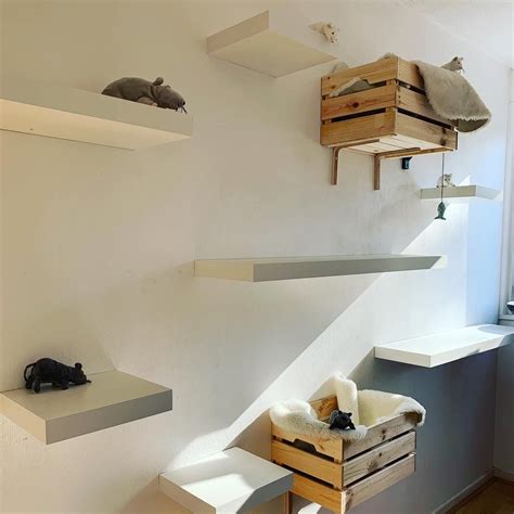 30 Easy Diy Cat Shelves Ideas That Will Wow Them Homemydesign Artofit