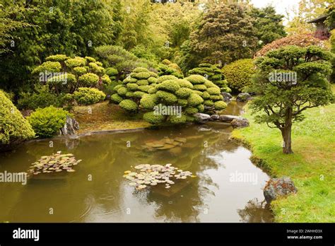 Japanese Garden San Francisco Stock Photo Alamy