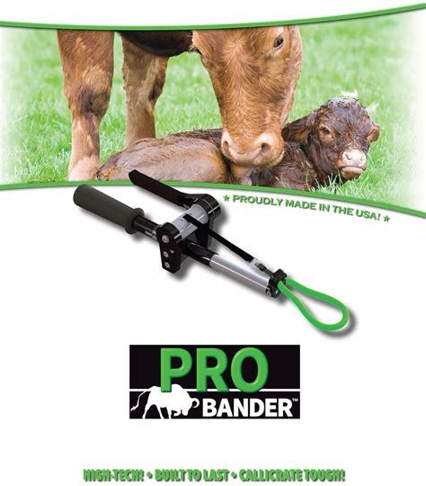 The Callicrate Pro Bander Is A Tool For Bloodless High Tension Method