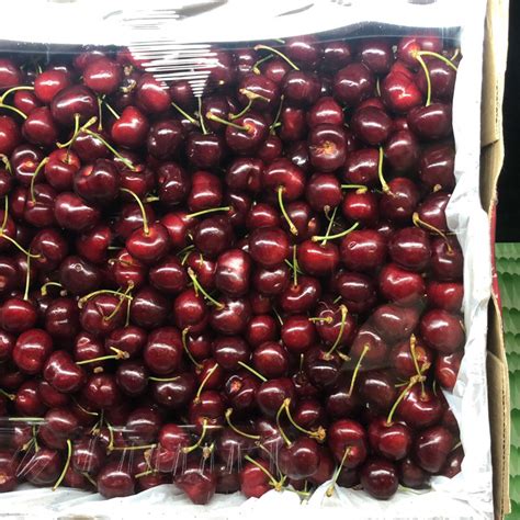 Jual Buah Ceri Cherry Import Australia Segar Kg Shopee Indonesia