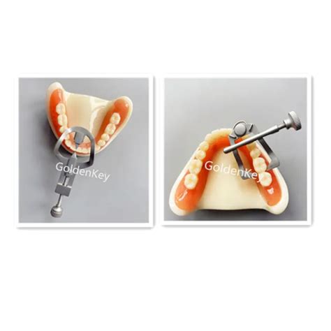 Dental Teeth Seperator Divider Wedge Retainer Anteriorposterior Tooth