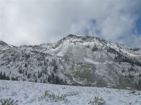 Knee Deep Snow @ Snowbird and Alta, Utah w/ 5-9” More Today | Indepth ...