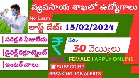 Icar Iari Recruitment I Latest Govt Job Updates In Telugu I Prove