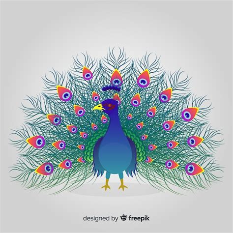 Beautiful Peacock Design Free Vector