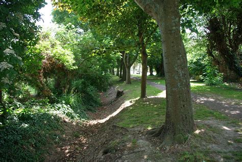 Ditch Parallel With Footpath East Robin Webster Geograph