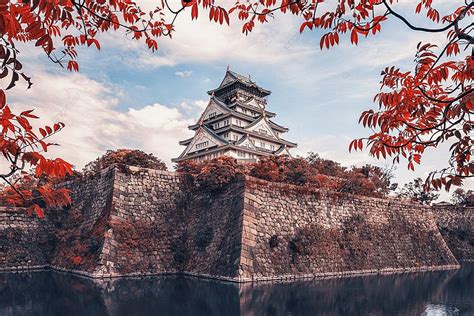 Vista No Castelo De Osaka Do Jardim No Outono Foto Fundo E Imagem Para