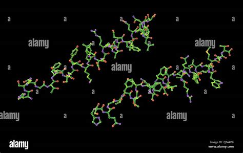 Glucagon hormone molecule, illustration Stock Photo - Alamy