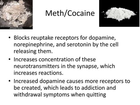 Drugs And Effects On Neurotransmitters Ppt