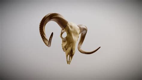 Artstation Ram Skull