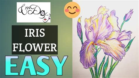 How To Draw An Iris Flower Step By Step For Beginners Easy Purple