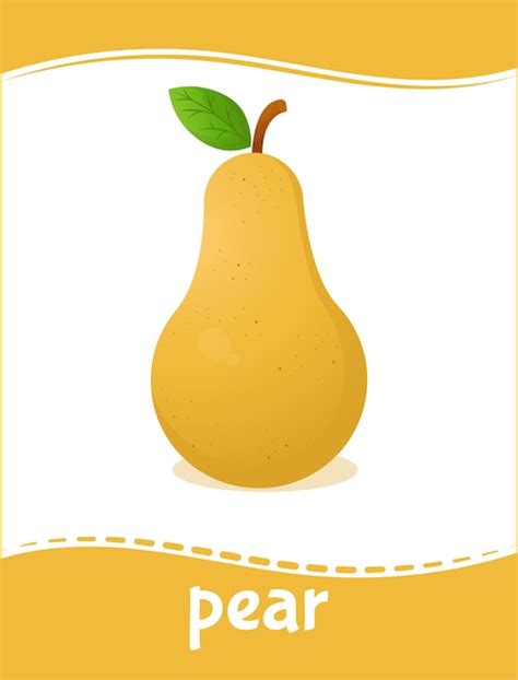 Premium Vector | Pear flashcard for learning fruit vocabulary ...