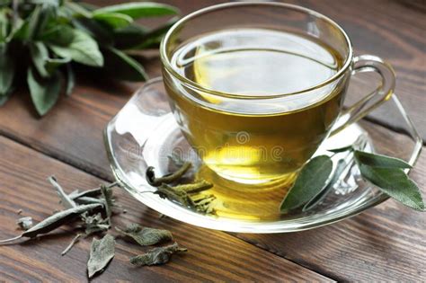 Sage Herbal Tea In A Glass Cup With Fresh And Dried Leaves On Rustic