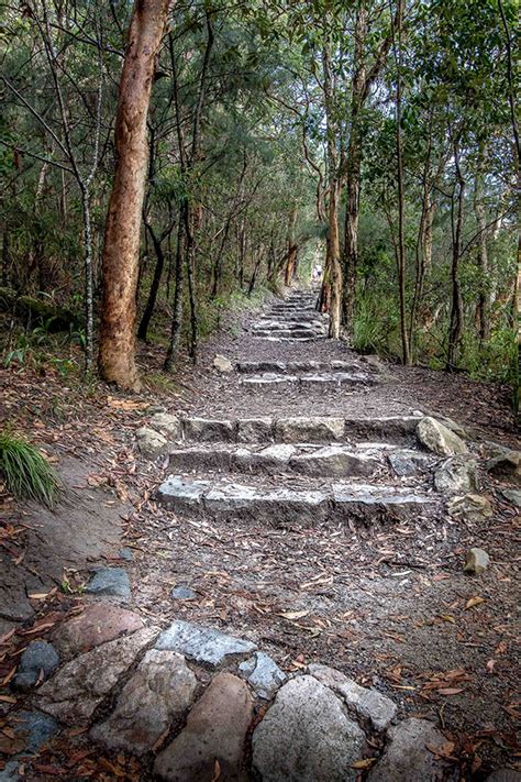 Point Lookout, Coolum Beach – Pethols – a walk on Mount Coolum | Pet Friendly Holiday Houses ...