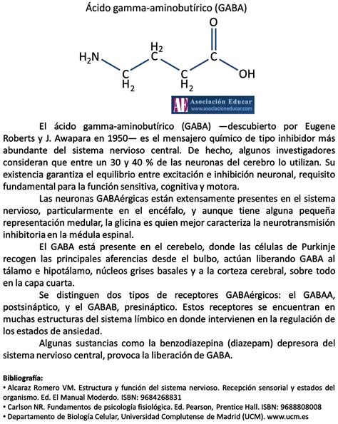 Infografía Neurociencias Ácido Gamma Aminobutírico Gaba Neurociencia Psicobiología