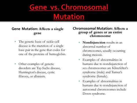 Mutations Ppt Download