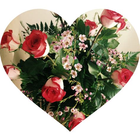 Red Roses Flowers Photo 33624121 Fanpop