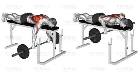 Barbell Lying Row On A Rack Exercise Guide Video Techniques