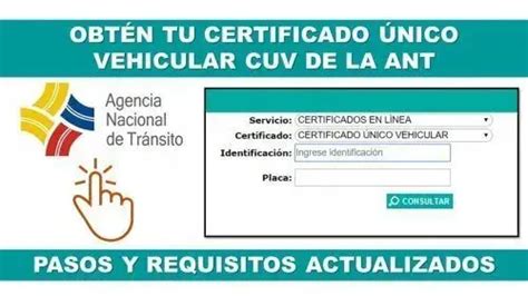 Certificado De Matr Cula Vehicular En L Nea Elyex