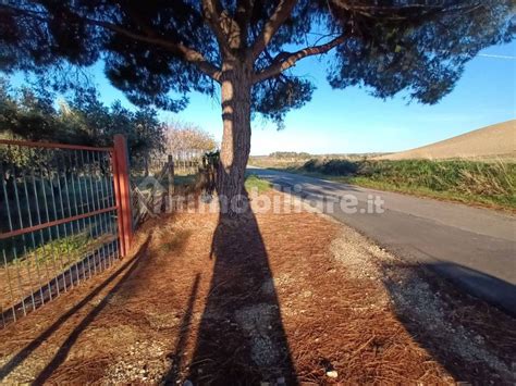 Terreno Agricolo Civitavecchia Rif Immobiliare It