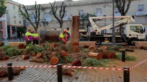 Muñoz lamenta las críticas por las talas y recuerda las quejas por el