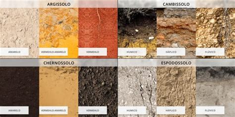 Tipos De Solo Mais Comuns Do Brasil E Sua Particularidade