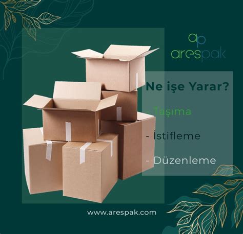 Merve Tekol posted on LinkedIn
