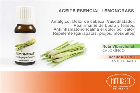 Aceite Esencial Lemongrass Aceites Esenciales Puros De Naturset