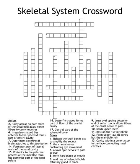 Skeletal System Crossword WordMint