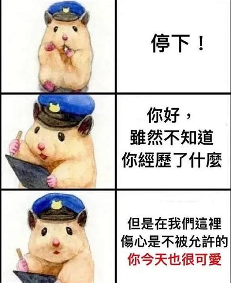 安慰对方，心疼对方的表情包 知乎