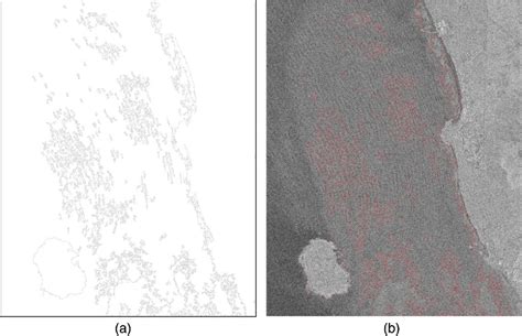 Figure From A Multipolarization Analysis Of Coastline Extraction