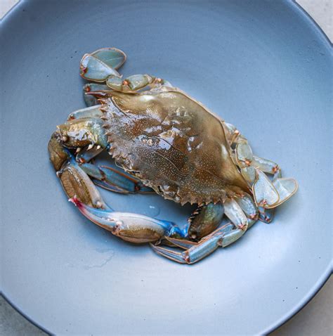 Pepperoni, Pre-Strikes, and the Pentagon’s Favorite Pie Shops | Eater DC