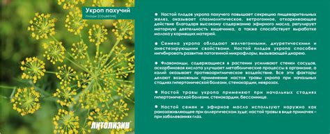Литолизин | litolizin.kz
