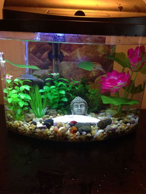 Inspiring 25 Cool Betta Fish Tank Ideas That Will Inspire You Https