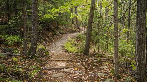 13 Best Hiking Trails in Southern Maine