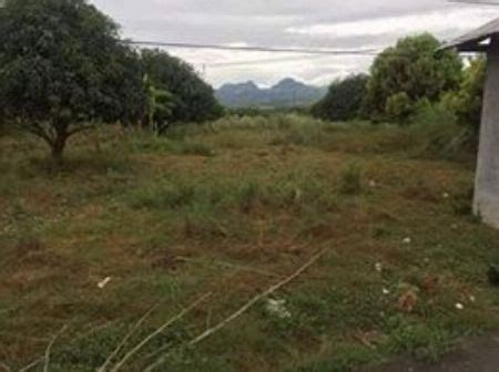 Farm Land For Sale In Floridablanca Pampanga Land Farm Pampanga