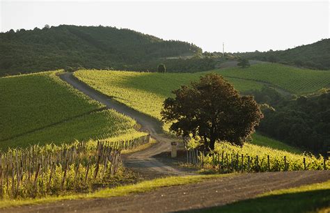 Materials Castiglion Del Bosco Portfolio Maisons Marques Domaines