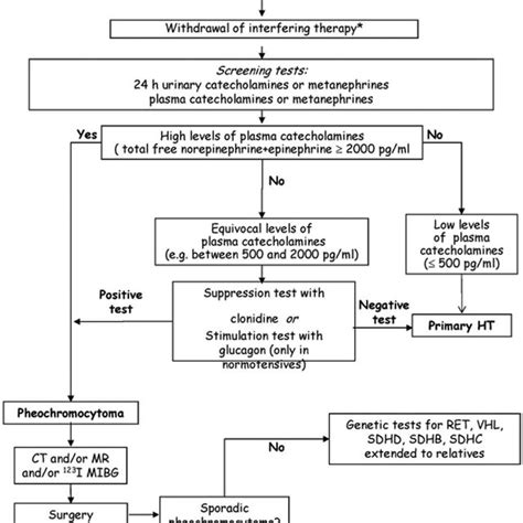 Flow Chart For Identification Of Pheo Chromocytoma The Decisional